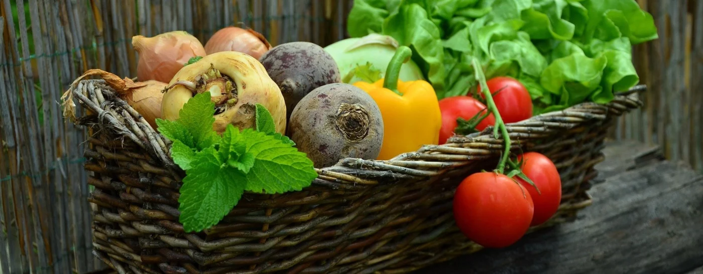 Lebensmittel Großhandel: Gemüse Sortiment bei Feddersen Kategoriebild