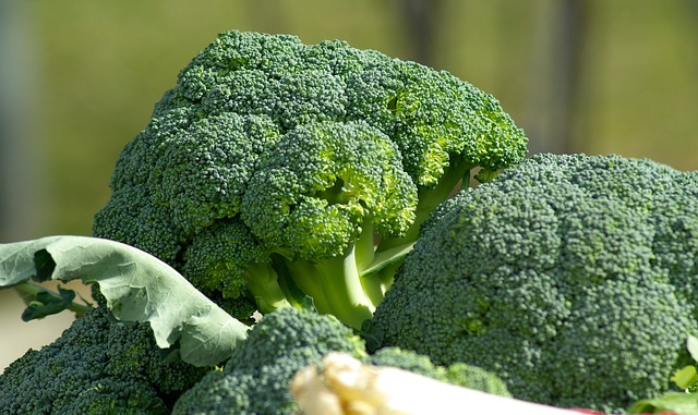 Saisonales Gemüse Brokkoli
